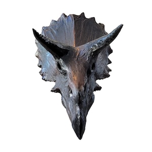 Museum Quality Triceratops Skull Sculpture
