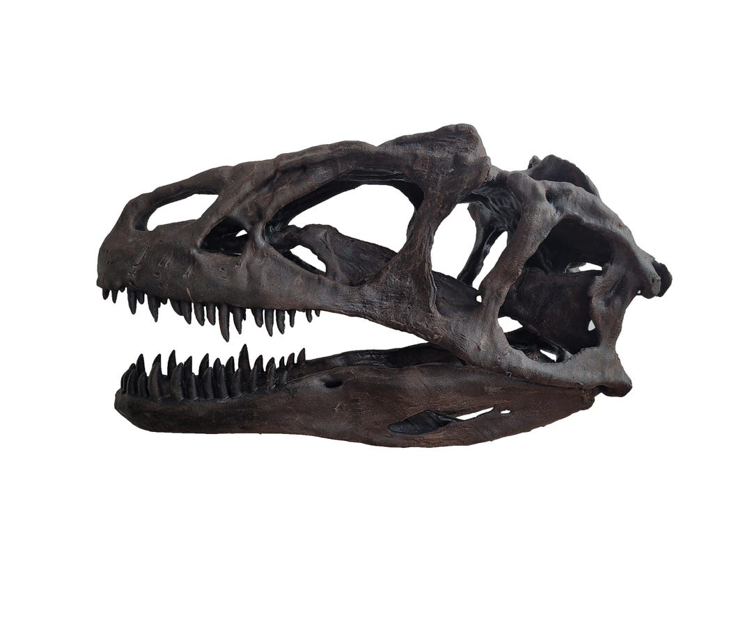 実物大アロサウルスの頭蓋骨彫刻 - Etsy 日本