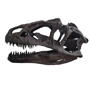 Life Size Allosaurus Skull Sculpture