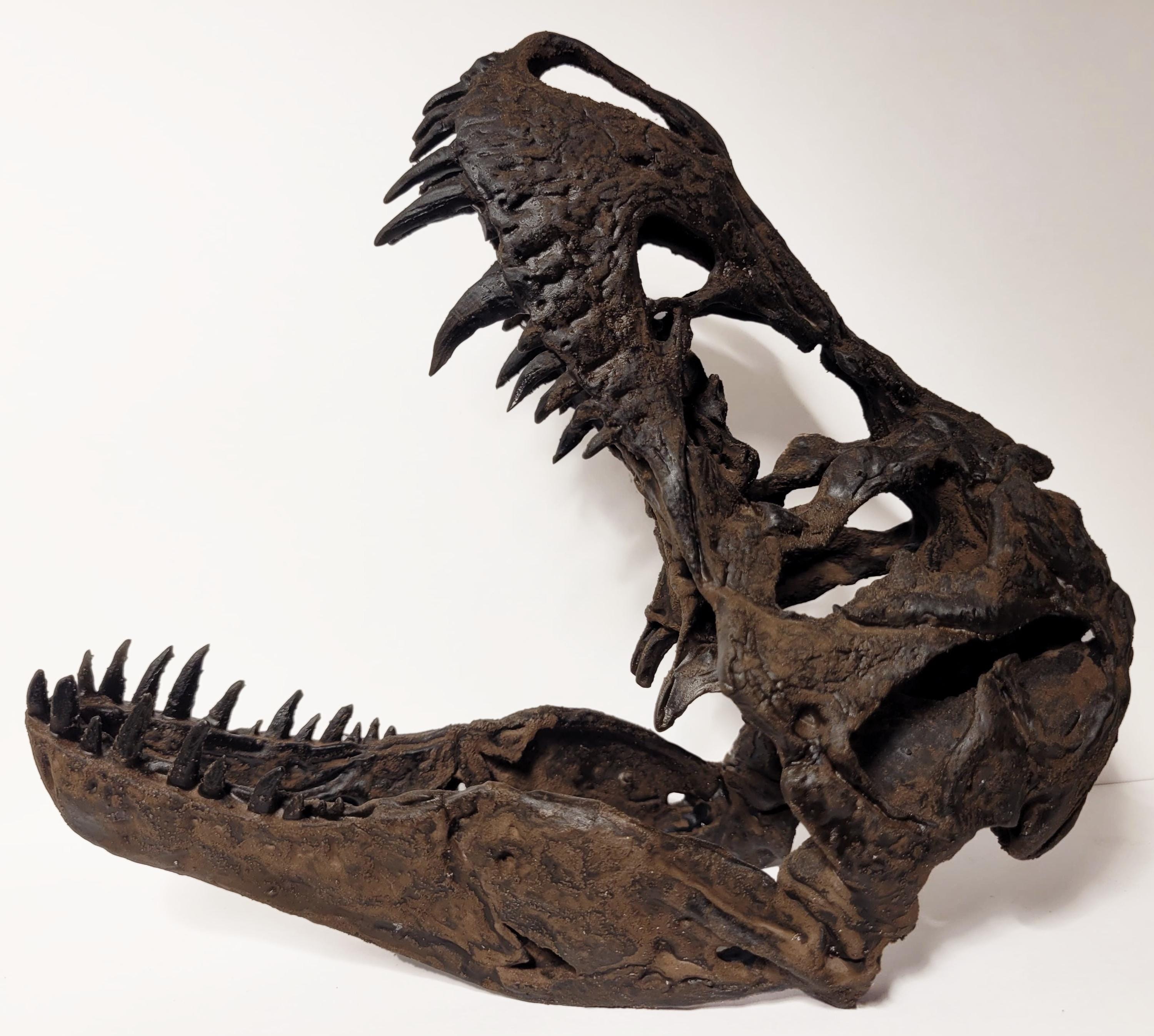 1:10 Scale T. Rex Skull - Etsy