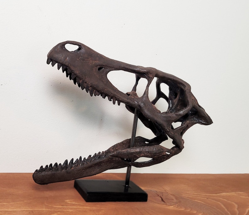 May include: A detailed replica of a dinosaur skull, painted in a dark brown color, with a textured surface. The skull is mounted on a black stand.
