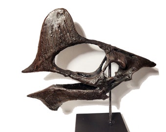 Museum Quality Pterosaur Skull (Tapejara wellnhoferi)