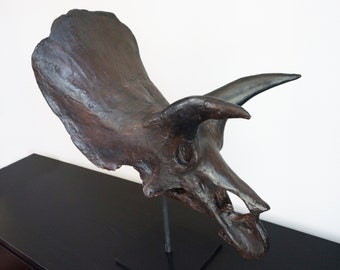 1:3 Museum Quality Triceratops Skull (24")