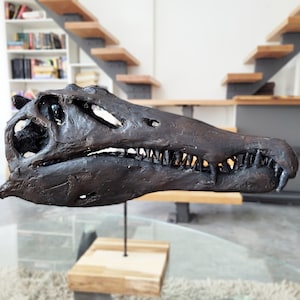 1:3 Museum Quality Spinosaurus  Skull