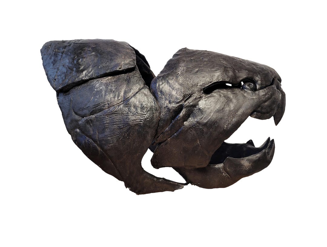 THE SKULL DISK NATURE TONES × DAMNGOOD il_1080xN.6514519802_qezo.jpg