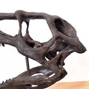 May include: A dark gray dinosaur skull replica with a detailed bone structure. The skull is mounted on a stand and is angled to the right.
