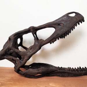 May include: A detailed replica of a dinosaur skull, crafted in a dark brown color. The skull is open, revealing the intricate bone structure. The teeth are sharp and pointed, giving the skull a menacing appearance.