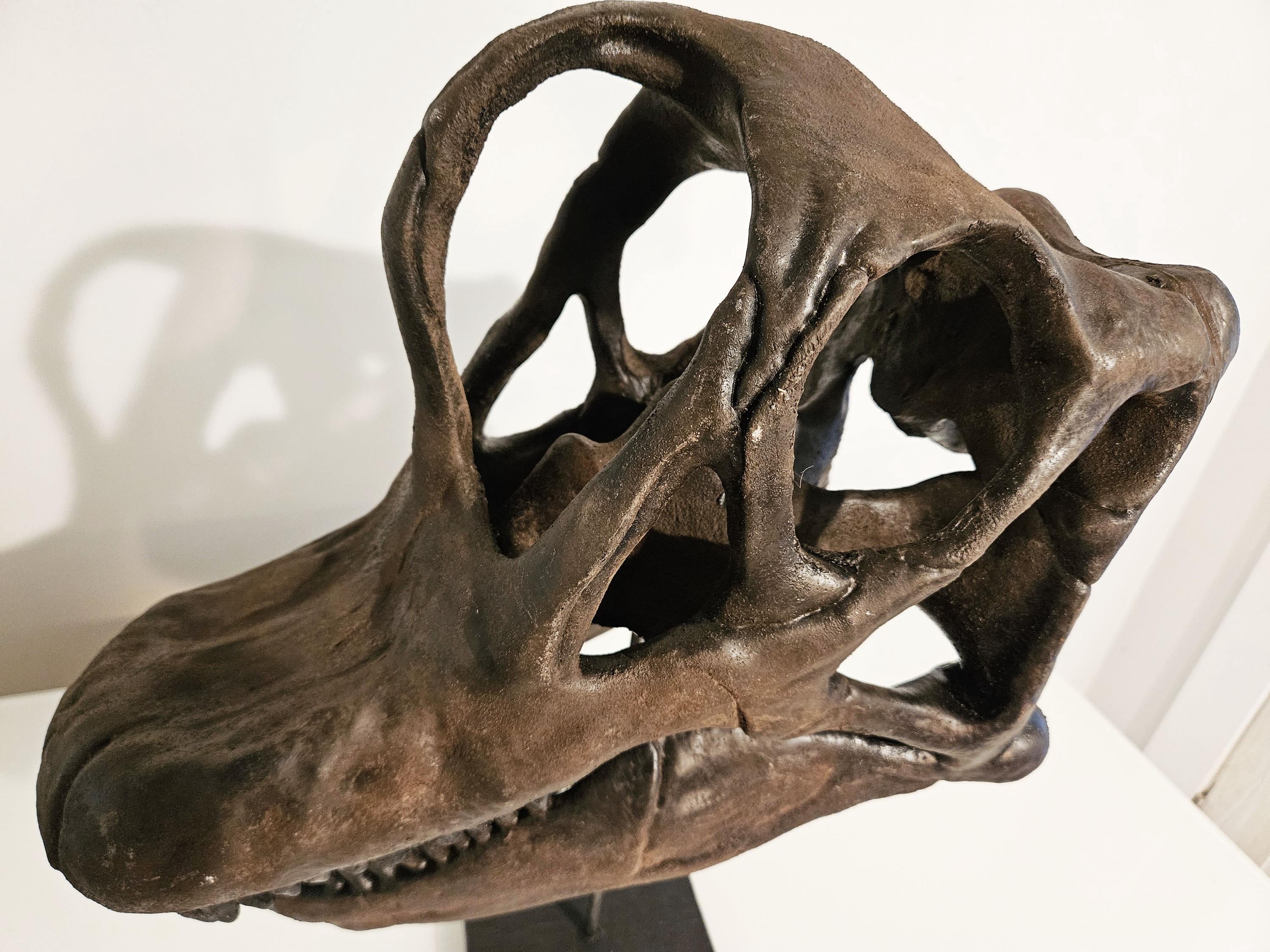 博物館品質のブラキオサウルスの頭蓋骨彫刻 - Etsy 日本