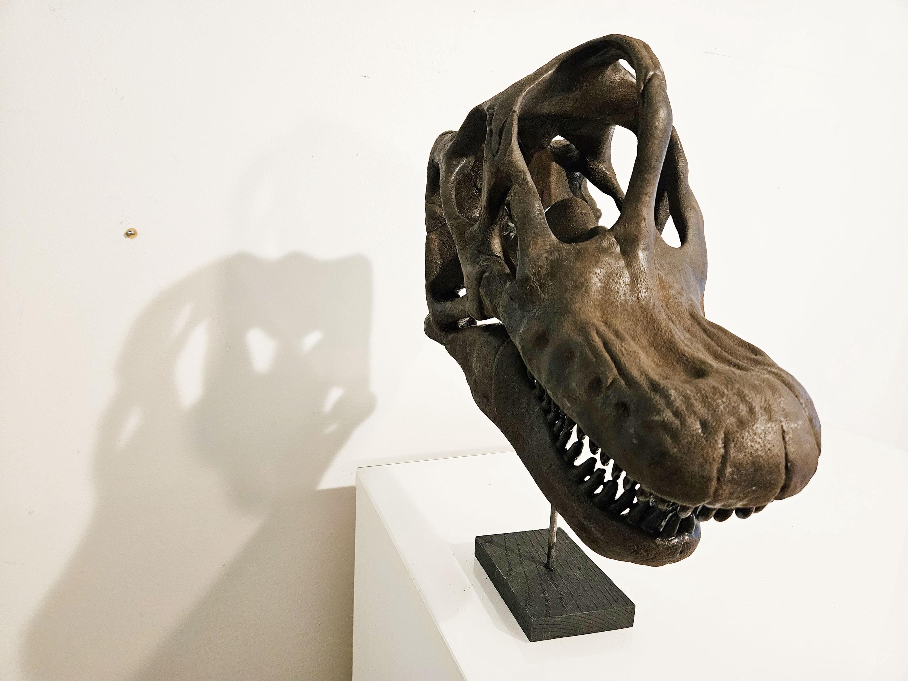 博物館品質のブラキオサウルスの頭蓋骨彫刻 - Etsy 日本