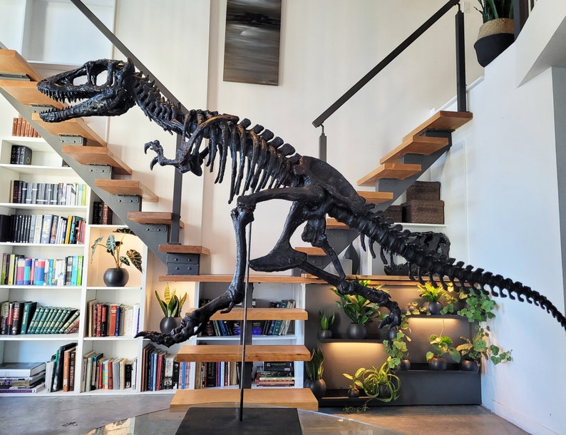 Life sized Baby T. Rex Skeleton image 2