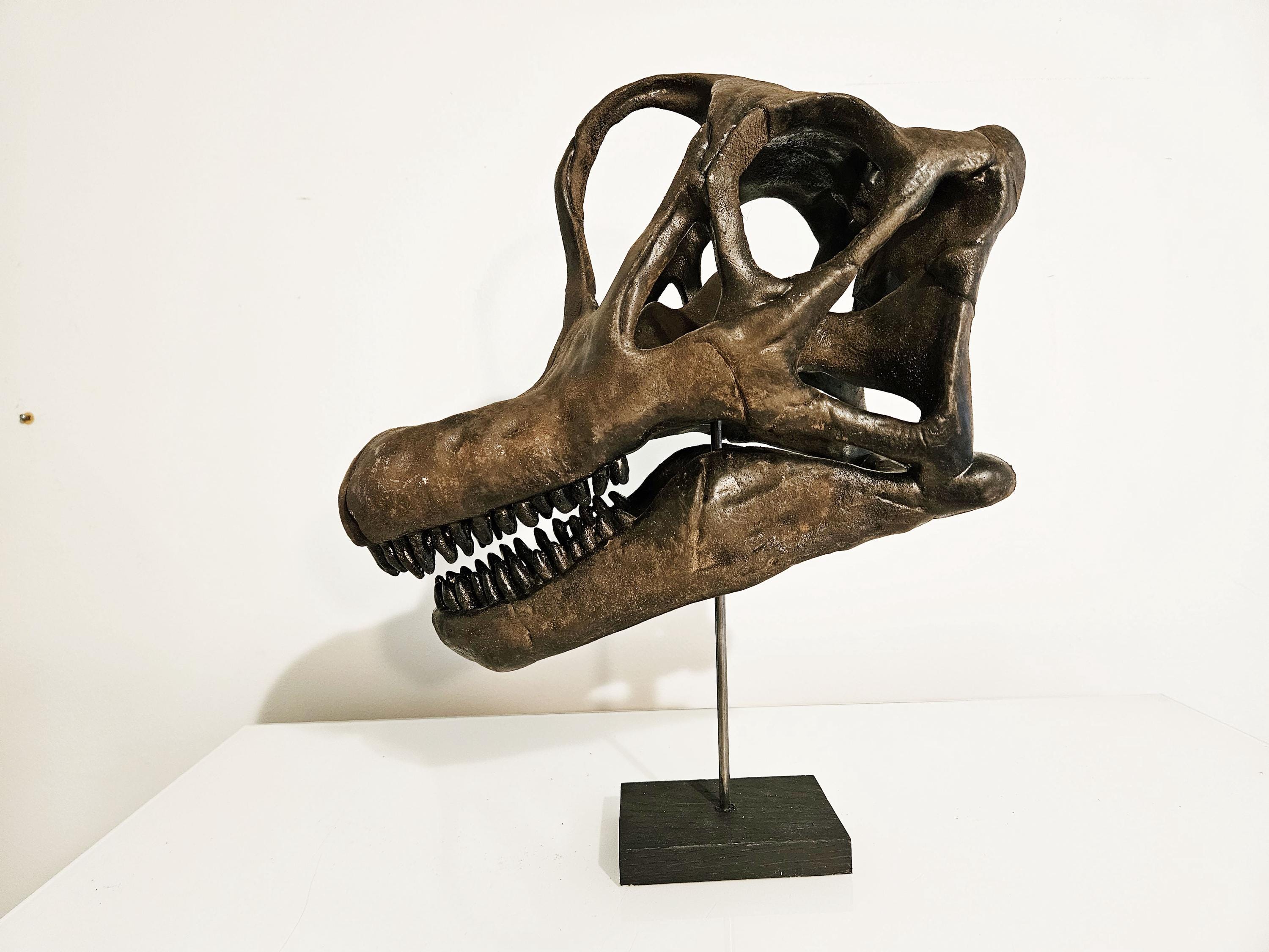 博物館品質のブラキオサウルスの頭蓋骨彫刻 - Etsy 日本