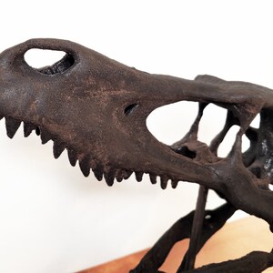 May include: A close-up of a dark brown dinosaur skull replica. The skull is mounted on a wooden base and has a detailed, realistic appearance.