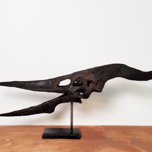 Op de afbeelding: Een donkerbruine gefossiliseerde schedel van een pterosaurus, een vliegende reptiel, gemonteerd op een zwarte standaard. De schedel is gedetailleerd met zichtbare tanden en oogkassen.