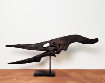 Museum Quality Juvenile Pteranodon Skull
