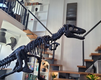 Life sized Baby T. Rex Skeleton