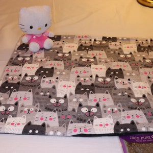 Cat Play Mats with Optional Catnip #2 (Double Flannel and Denim) - Handmade