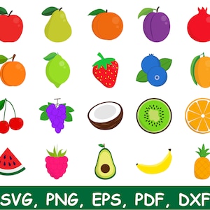 Fruit SVG Bundle, Tropical Fruit SVG, Fruit Clip Art, Fruit Vector Files, Fruit Cut Files, Digital Download, Cricut, Silhouette