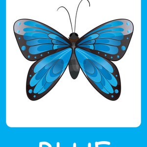 Printable Colour Flash Cards, Color Learning Cards, Preschool ...