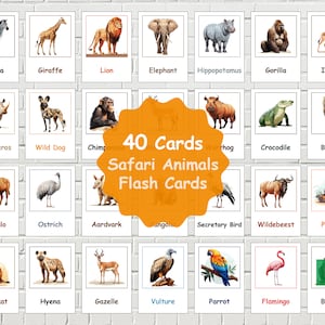 40 Safari Animals Flashcards, Printable Animal Flashcards, Animals Vocabulary, Printable Animal Cards, Animals Flashcards, Printable Cards