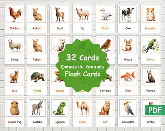 32 flashcards voor huisdieren, flashcards voor boerderijdieren, woordenschat dieren, educatieve flashcards, flashcards dieren, afdrukbare kaarten