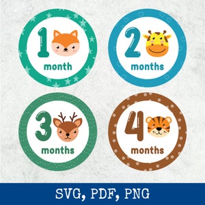 Monthly Baby Stickers SVG, Baby Monthly Sticker Unisex, Baby Monthly Sticker, Milestone Stickers, Month to Month Printable Stickers
