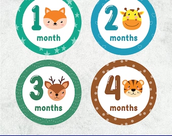 Monthly Baby Stickers SVG, Baby Monthly Sticker Unisex, Baby Monthly Sticker, Milestone Stickers, Month to Month Printable Stickers