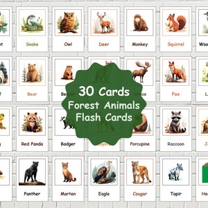 30 Forest Animals Flashcards, Forest Animals Vocabulary, Printable Animal Cards, Animals Flashcards, Printable Cards, Printable PDF