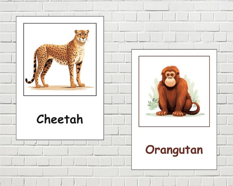 23 Jungle Animals Flashcards, Wildlife Learning PDF, Animals Vocabulary