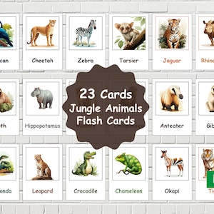 23 schede didattiche sugli animali della giungla, PDF di apprendimento sulla fauna selvatica, vocabolario sugli animali, schede didattiche sugli animali stampabili, schede didattiche sugli animali, schede stampabili
