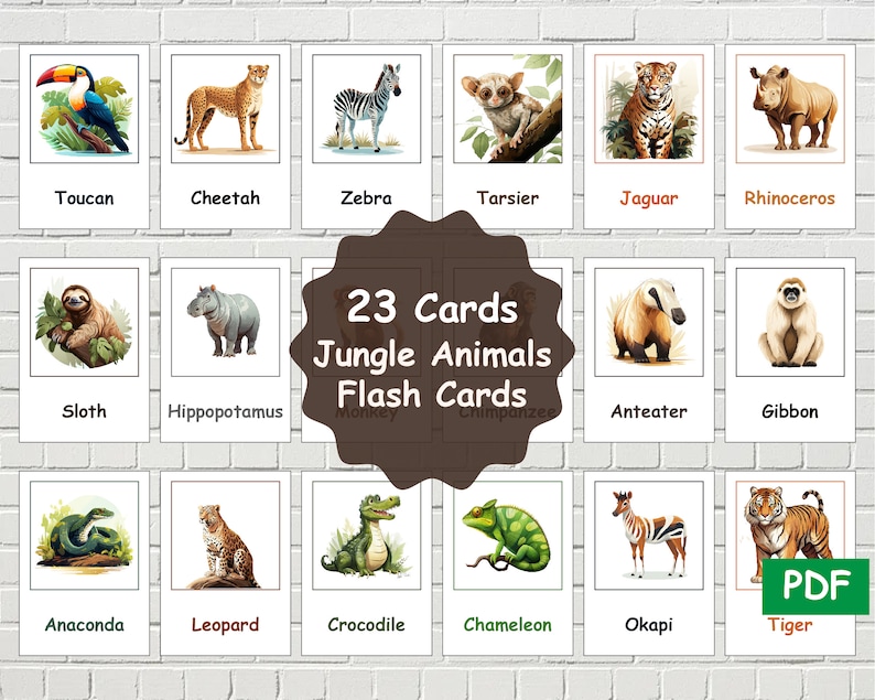 23 Jungle Animals Flashcards, Wildlife Learning PDF, Animals Vocabulary