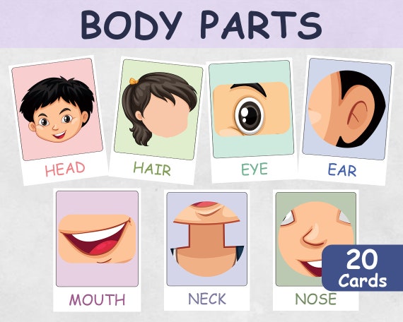 Grasso Ingranaggio intelligenza my body activities for preschoolers
