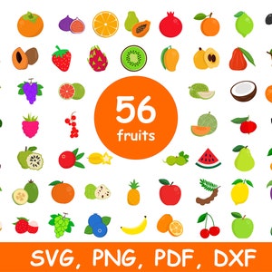 56 Fruits Clipart Bundle, Fruit SVG Bundle, Fruits SVG, Fruit Clipart, Fruit Cut Files, Fruit Svg Files, Download digitale, Cricut, Silhouette
