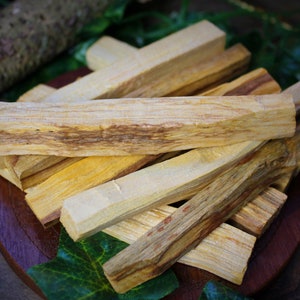 Palo Santo Sticks: Nachhaltig beschafftes peruanisches heiliges Holz, natürlicher Weihrauch