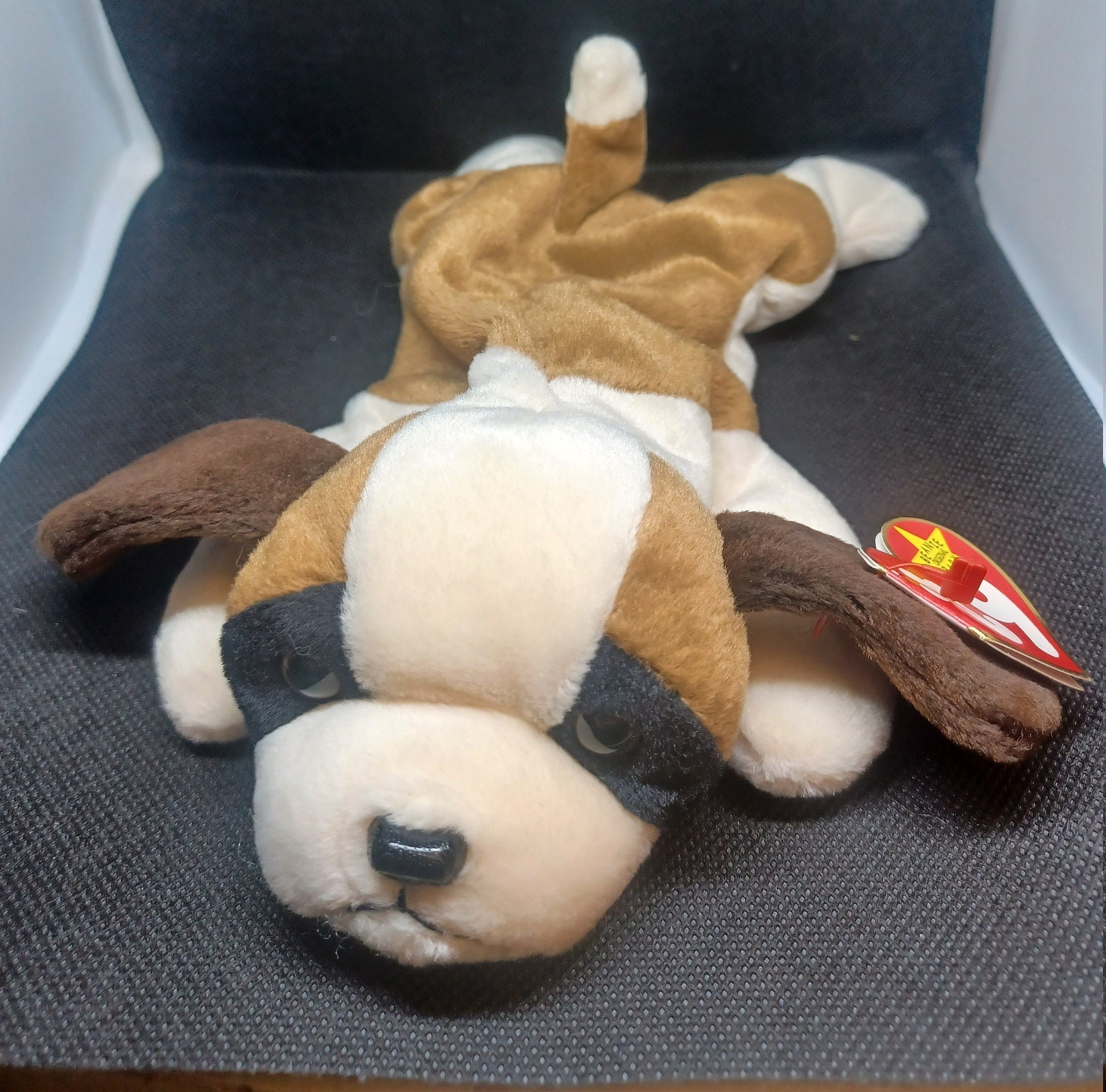 Bernie the Beagle Ty Beanie Baby Etsy
