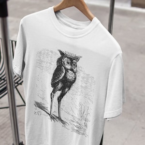 Stolas - Prinz der Hölle Unisex T-Shirt, Vintage Style Dämon T-Shirt