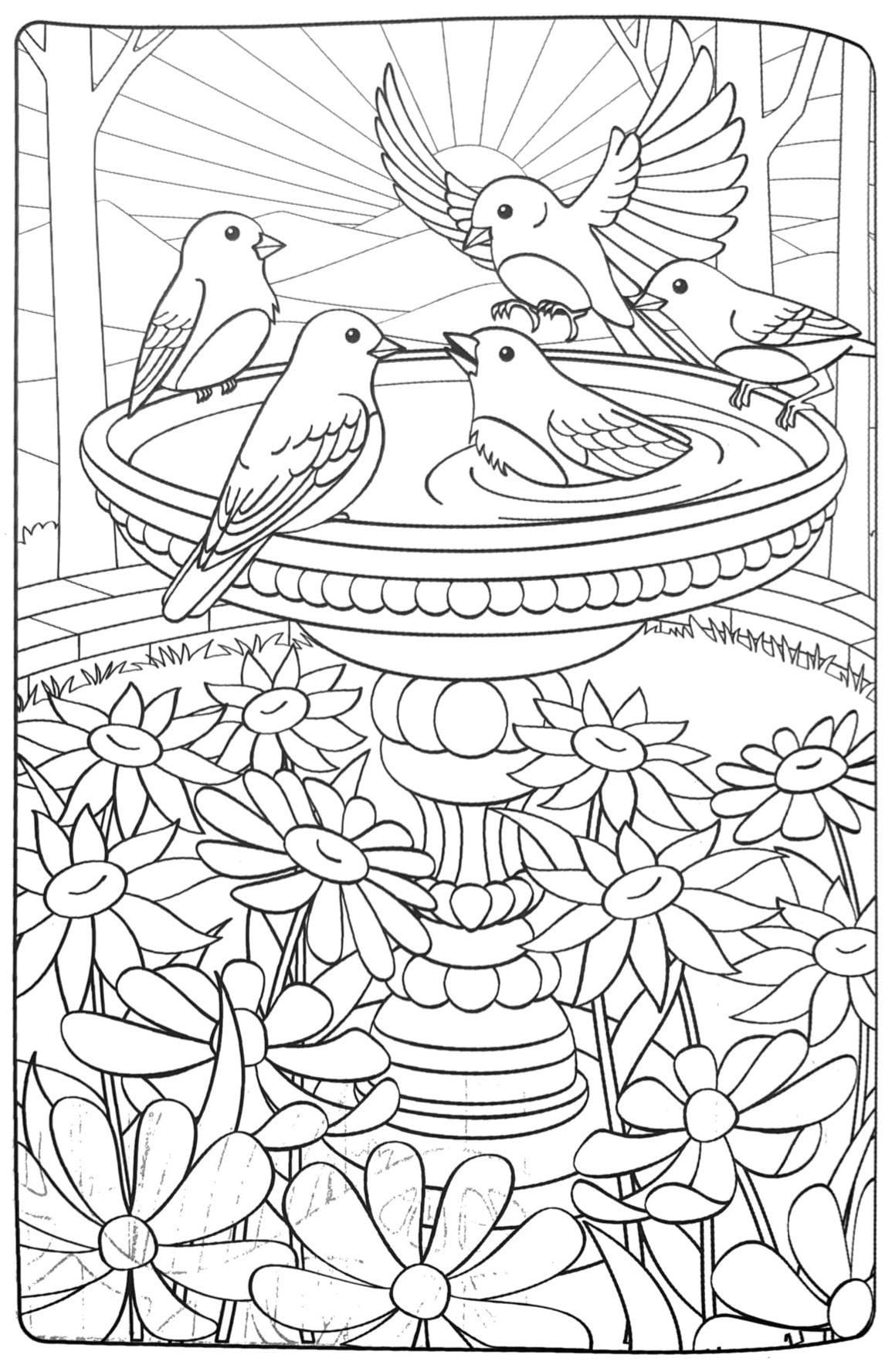 Bird Coloring Pages - Etsy