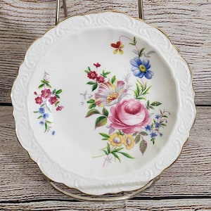 By Appointment to the Majesty the Queen China Potters Paragon Plate- Dovesdale