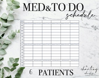 6 Patient Medication/To Do Schedule For Day/Night Shift| Instant Download & Printable| Nurse Report| Nurse Brain | Hand-Off| Shift Change