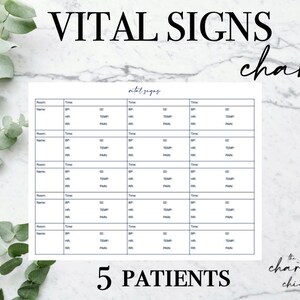 5 Patient Vital Sign Chart| For Day and Night Shift| Instant Download & Printable| Nurse Report| Nurse Brain | Hand-Off|Shift Change