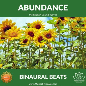 Abundance Solfeggio Binaural Beats