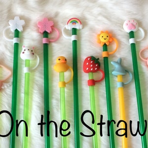 10.5&quot; Rainbow Straw with Straw Cover Topper