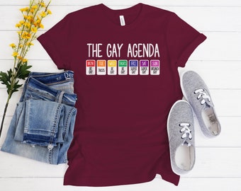 Gay Agenda T-Shirt, Ally T-Shirt, Rainbow Pride T-Shirt, LGBTQ T-Shirt, Gay Pride T-Shirt, Ally Pride T-Shirt, Pride T-Shirt