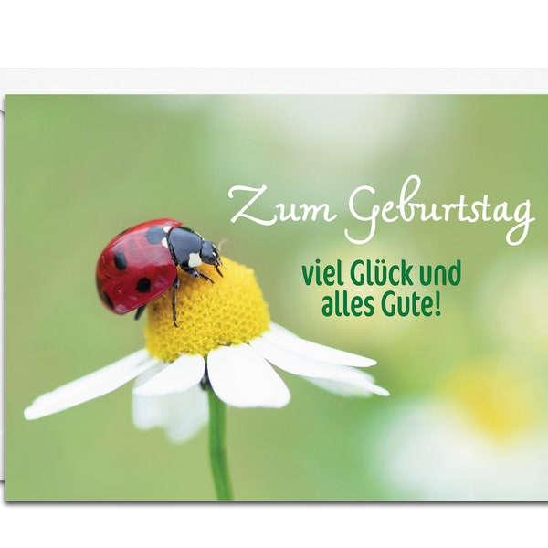 German Birthday Card - Zum Geburtstag Viel Glück und Alles Gute (Ladybug on a Daisy)