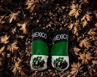 Mini guantes de boxeo con la bandera de México / Decoración para colgar en el espejo retrovisor del coche / Adorno del orgullo mexicano. Regalo de Navidad. Regalo de boxeo. Guantes de boxeo mexicanos.