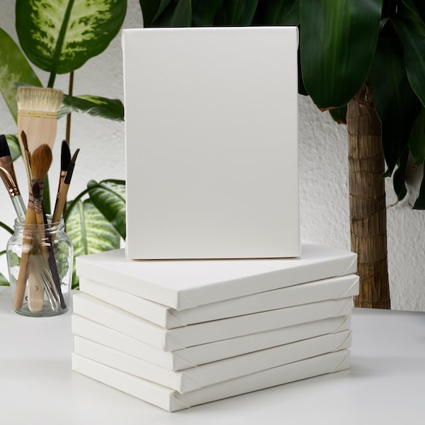 Panel de acuarela de bellas artes: papel de algodón estirado a mano sobre madera / Tamaños pequeños