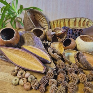 May include: A collection of dried natural elements, including pods, seed heads, and seed casings, in shades of brown, beige, and purple. The items are arranged on a light wood surface.