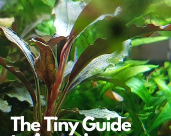 The Tiny Guide to Aquarium Plants: A Comprehensive Guide to Choosing, Planting, and Caring for Planted Fish Tanks. Digital Book
