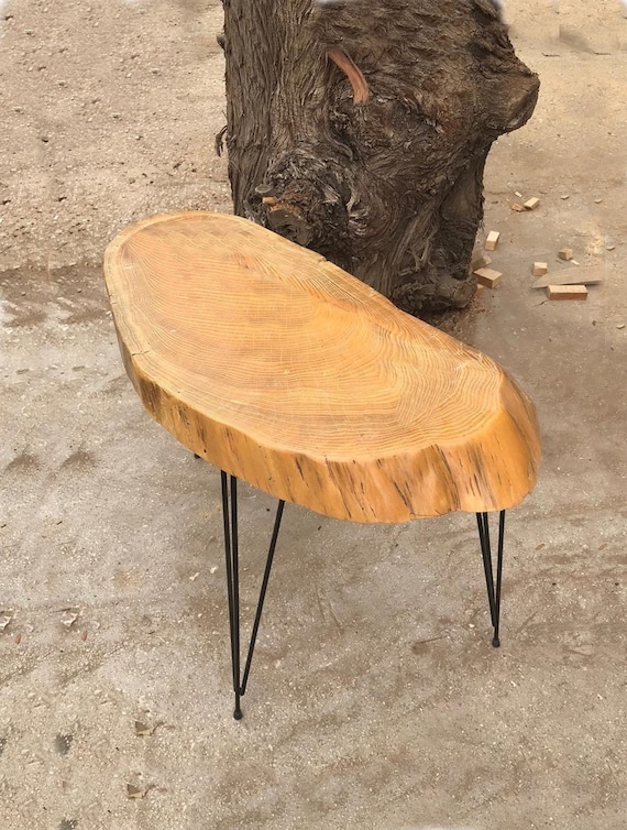 Tree trunk slice coffee table deals