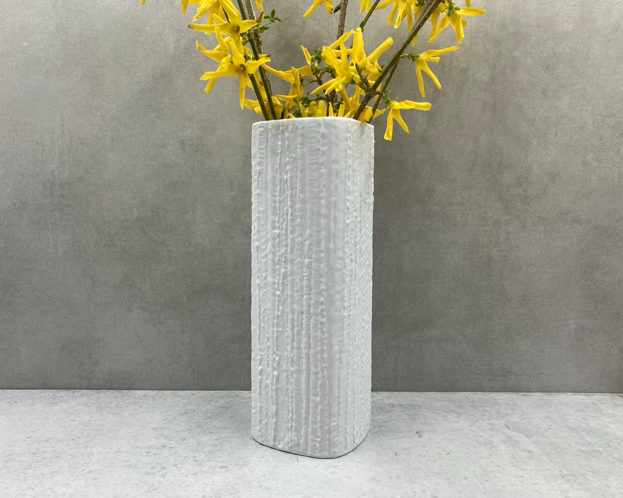 THOMAS Textured Bisque Porcelain Vase