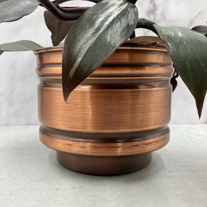 Peut inclure: Un pot en cuivre de couleur cuivrée avec un design côtelé. Le pot est rempli d'une plante verte feuillue.